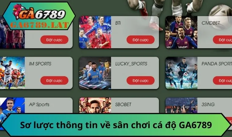 Sơ lược thông tin về sân chơi cá độ GA6789